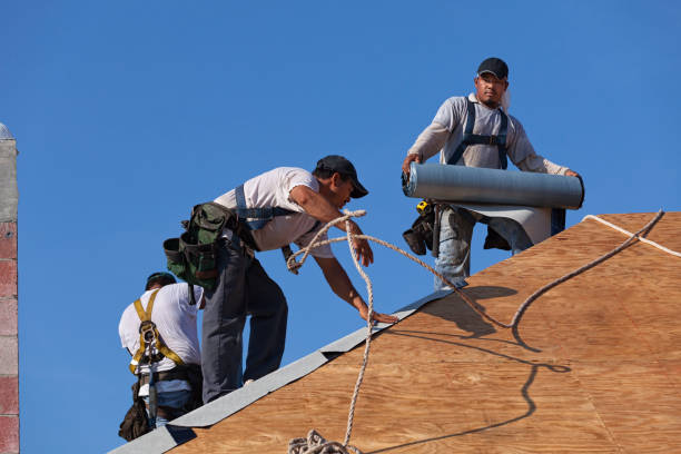Best Local Roofing Companies  in Meadowbrook, CA